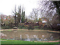 Clanfield Village Pond in PO8 0RR