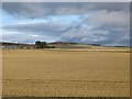Sidlaw Hills arable in DD4 0PZ