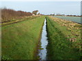 Dike crossing Newborough Fen in PE6 7SA