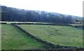 Field Boundaries at Holt Laith in HD7 5TY