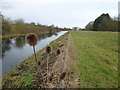 Teasels and The Folly River, Peakirk in PE6 7NS
