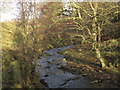 Gunnerton Burn below the lime kiln in NE48 4AU