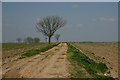 Track at Birch Fen in PE16 6DJ