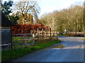 Junction of roads at Little Rye Farm in RG29 1FW