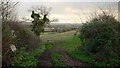 Farmland near Moreton on Lugg in Herefordshire