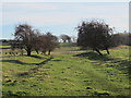 Trackbed of the former Border Counties line east of Barrasford station in NE48 4AA