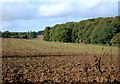 Fields and Woods near Sonning Common in RG4 9NG