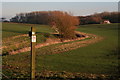 Bridleway to Autby from Beesby in DN36 5RP