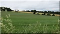 Arable land, Ecclesgreig in DD10 0DD