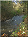 A glimpse of the River Ogmore near Pant-yr-awel in CF32 7LA