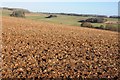 Ploughed field above Rixon's Covert in GL54 4EA