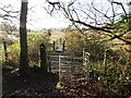 Gat Mochyn Gelli Nudd kissing gate in SA8 3FA