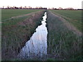 Fenland dike crossing Hall Meadow in PE6 8LQ