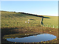 Dew Pond, Chapman's Bottom in BN20 0JE