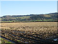 Farmland south-east of Eckington in WR10 3DF