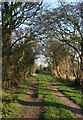Tree-lined footpath in Ravensmoor
