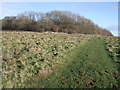 Track through open access land near Totterdown Wood in SN8 1RU