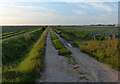 Farm track crossing New Marsh in PE24 4HJ