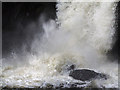 Cauldron Linn - lower fall in KY13 0QF
