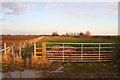 Conservation Walk behind the bank of the Great Eau in Withern & Theddlethorpe Ward