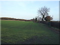 Farmland north of the B6165 in HG5 9HJ