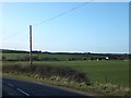 Grassland and the roofs of Higher Park Farm in DT2 9JQ