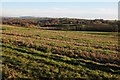 View to the south-east from Moreton Road in Herefordshire