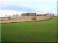 Farmland between Short Moor and Blackhill Farm in NE48 3NX