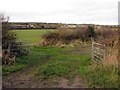 Farmland north of Stamfordham Road in NE5 1DJ