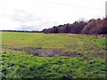 Farmland off Whorlton Lane in NE5 1DJ