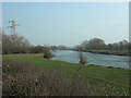 River Trent near Willington in DE65 6PT