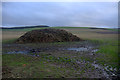 Manure pile, Ingliston, Eassie in DD8 1SU