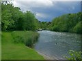 Mooring on the river Bure below Wroxham Church in NR12 8SQ
