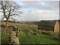 Barn beside the track to Lower Fleetgreen in SK17 0LZ