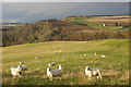 View over Glen Ericht from Bonnington Road, Rattray in PH10 7HZ
