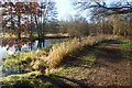 Path by the River Thet in IP24 2XU