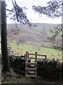 Stile & footpath leading down into the Swainsmoor valley in ST13 8UF