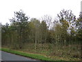 Woodland beside Tom Benson Way in PR4 0LH