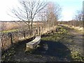 Wayside bench on the Bowes Railway Path in NE11 0TJ