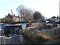 Allotments off Longshank Lane in DH3 1EH