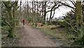 Footpath by Wheata Wood, Grenoside in S35 8RS