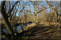 Path beside River Browney in DH7 0TH