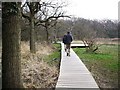 Walking the Board Walk by the Beaulieu River in SO42 7XB