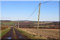 Road to Balgavies and Newmill in DD8 2SF