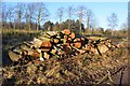 Log piles at Hare Hills in WS15 1QD