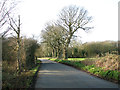 Approaching Mutford Wood on Mutfordwood Lane in NR33 8HD