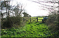 Gate into pasture south of Mutfordwood Lane in NR33 8HD