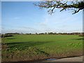Fields north of Rushmere Road in NR33 8HB
