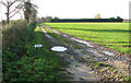 A private farm track in NR33 8HB