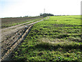 Track into fields by Gisleham Grove in NR33 8HB